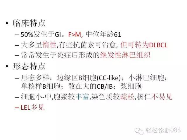 边缘区淋巴瘤（附小B细胞NHL鉴别诊断）