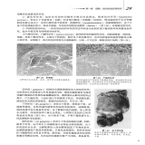 默认相册