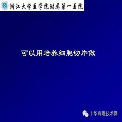 免疫组化液态阳性对照