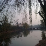 美景