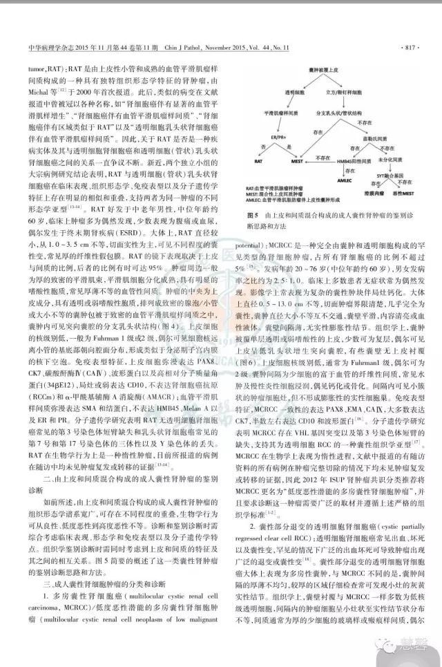 囊性肾瘤（杨倩分享，王哲老师等讲解及讨论）
