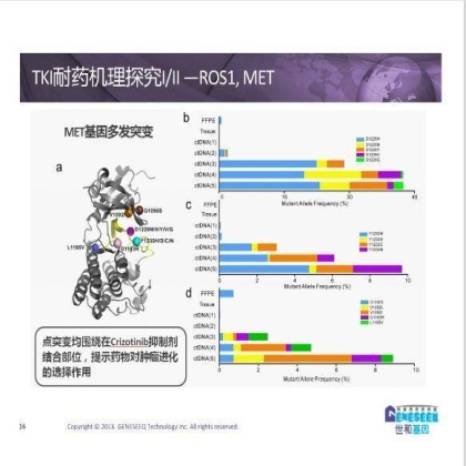 第13届中国肺癌高峰论坛