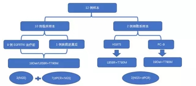 非小细胞肺癌患者中大多数T790M突变都存在于相同的EGFR等位基因上