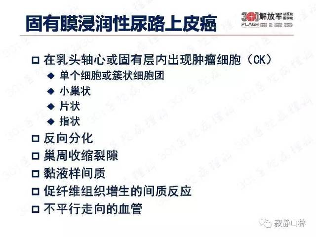 泌尿系统常见肿瘤标本病理报告规范