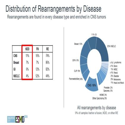 Genomic profiling of 114,200 advanced cancers identifies recurrent kinase domain duplications (KDD)