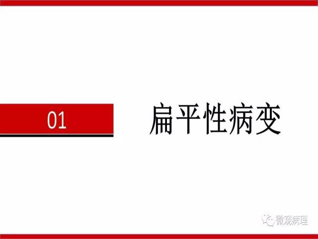 泌尿课程/非浸润性尿路上皮病变诊断的一些困惑