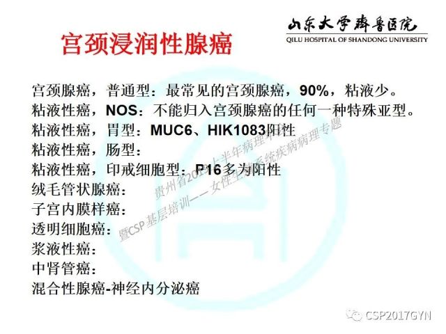 中华病理学会基层培训遵义站讲座（四）——宫颈腺癌的诊断及新分型