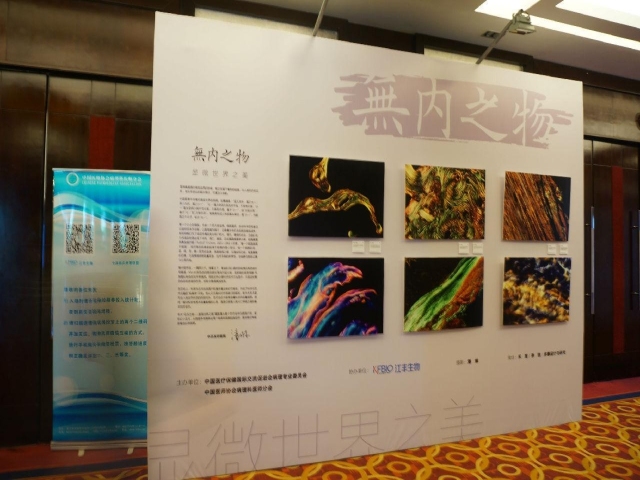 城北、abin拜见两位丁教授并齐聚会场