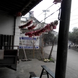 老家的特产