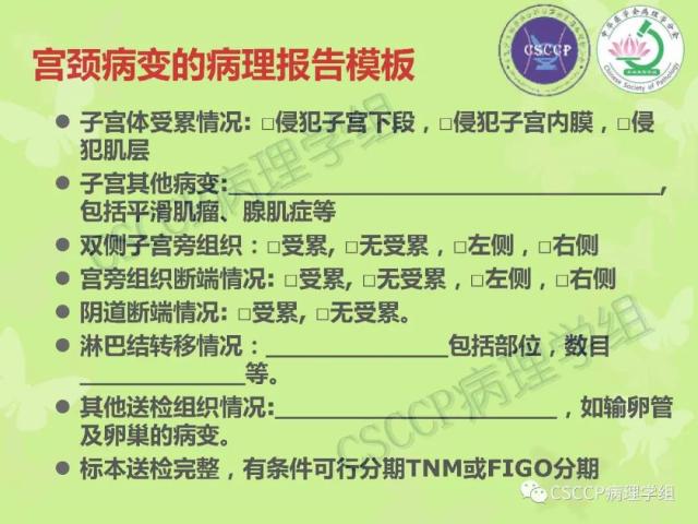 宫颈与子宫病变病理标本取材