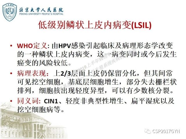 中华病理学会基层培训遵义站讲座（三）——宫颈鳞状上皮病变的病理诊断与鉴别诊断