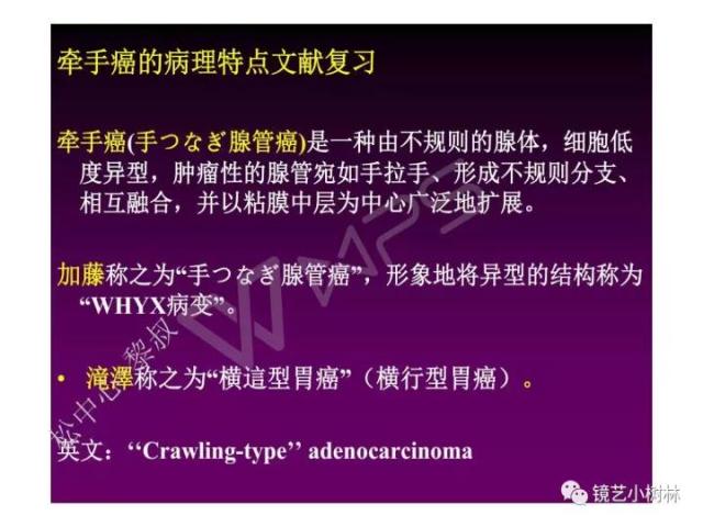 上消化道早癌病理的学习心得体会（附胃牵手癌的病例特点文献学习）