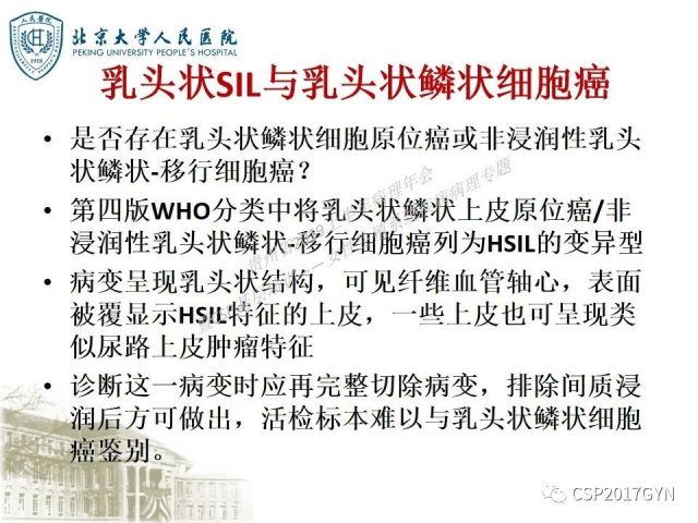 中华病理学会基层培训遵义站讲座（三）——宫颈鳞状上皮病变的病理诊断与鉴别诊断