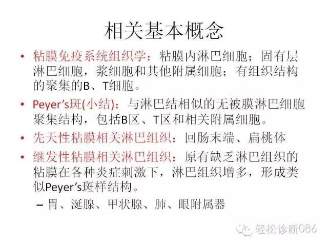 边缘区淋巴瘤（附小B细胞NHL鉴别诊断）
