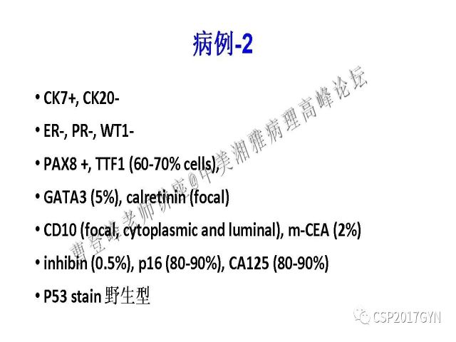 妇科肿瘤病理新进展——特殊类型的腺癌