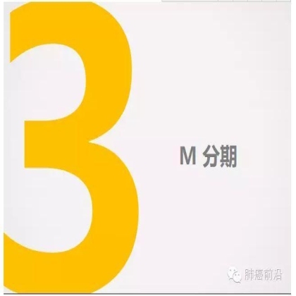肺癌新分期和分类--临床和研究启示