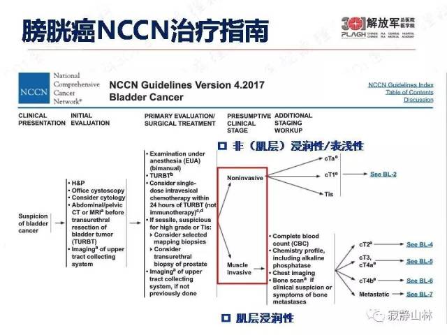 泌尿系统常见肿瘤标本病理报告规范
