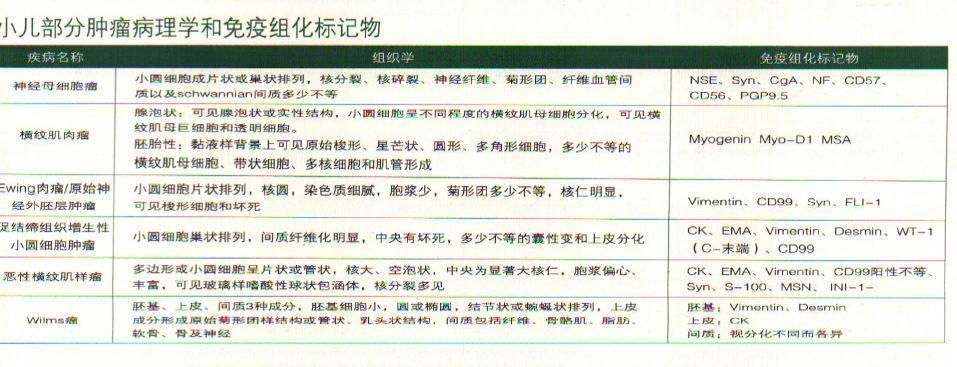 小儿部分肿瘤病理学和免疫组化标记物