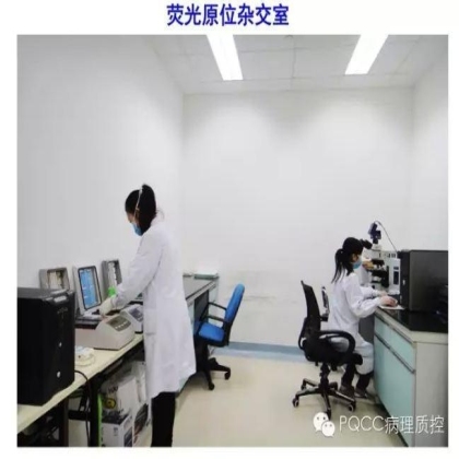 PQCC示范实验室展示——河南省人民医院