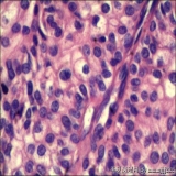 2012-06-06