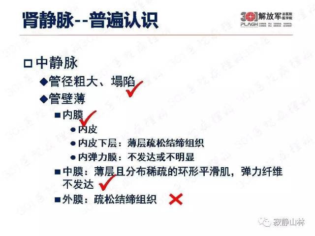 泌尿系统常见肿瘤标本病理报告规范