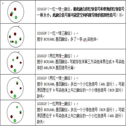 血液肿瘤FISH检测判读建议(一): 基因融合