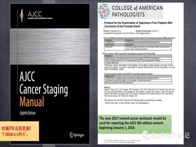 AJCC第8版 前列腺癌分期 之 病理学要点