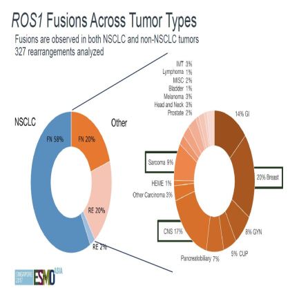 Genomic profiling of 114,200 advanced cancers identifies recurrent kinase domain duplications (KDD)