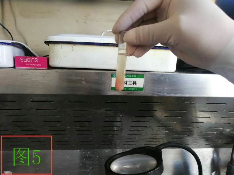 细胞蜡块的制作及应用举隅