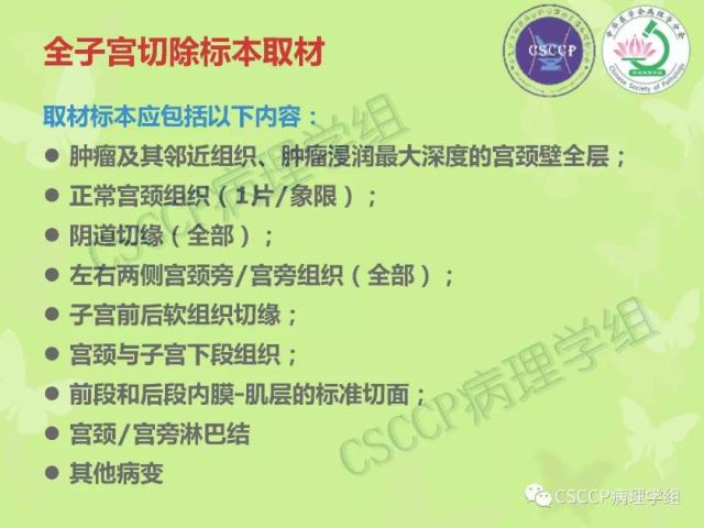 宫颈与子宫病变病理标本取材