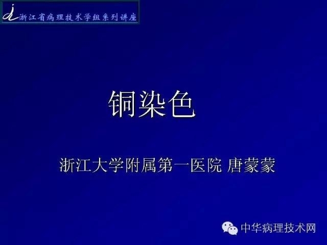 特殊染色-铜染色