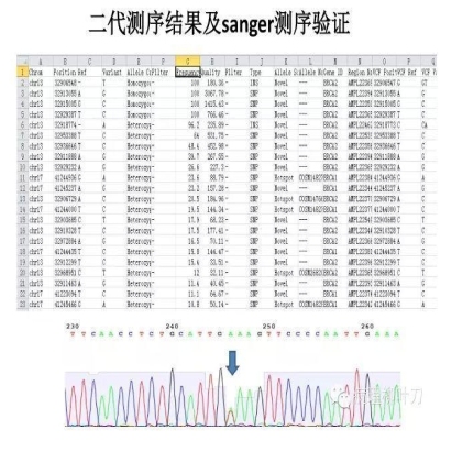 肿瘤精确医疗与分子病理检测