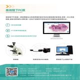 PC版数字病理切片扫描邑仪