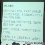 2012-11-26