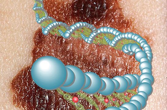 癌症研究探秘:生物标志物与癌症 癌症研究探秘:生物标志物与癌症