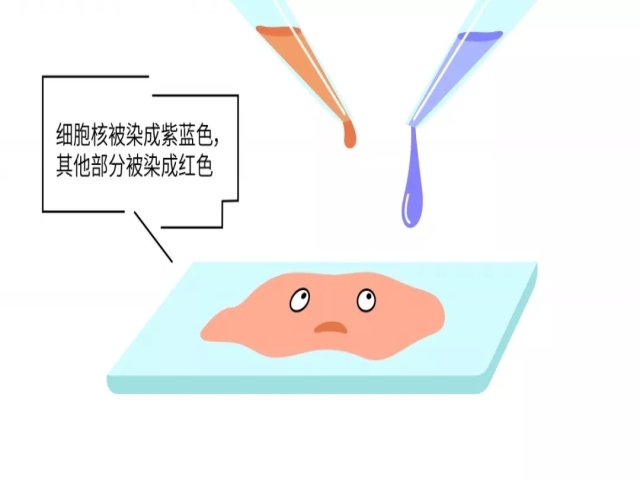 【名医】是不是肿瘤怎么判断?揭秘病理报告出炉全过程! 【名医】是不是肿瘤怎么判断?揭秘病理报告出炉全过程!