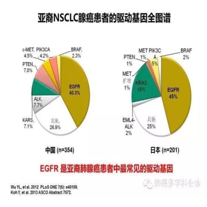 EGFR基因突变检测--基础篇
