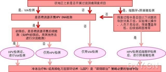 2013WHO颁布最新子宫颈癌前病变筛查和管理指南更新总结
