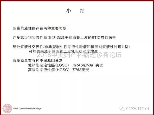 非粘液性卵巢肿瘤的诊断挑战
