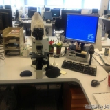 2013-08-24
