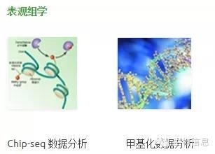 NGS数据处理流程