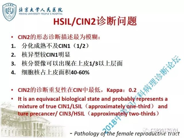 宫颈鳞状上皮内病变病理诊断中问题