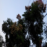 默认相册