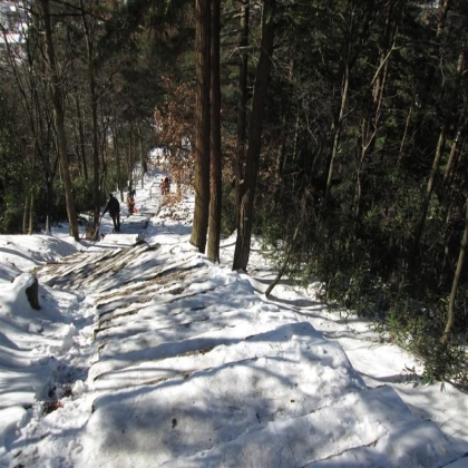 每年的第一场雪