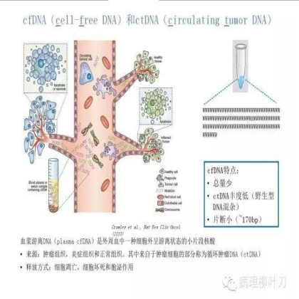 肿瘤精确医疗与分子病理检测