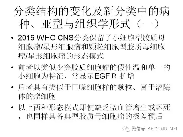 2016 WHO中枢神经系统肿瘤分类解读（二）