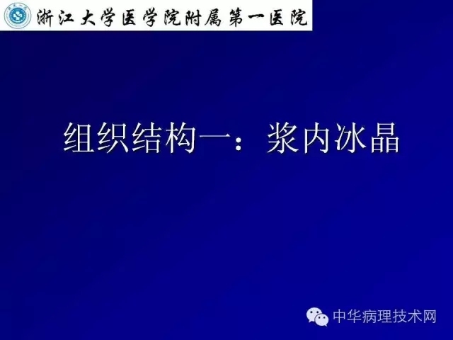 冰冻切片报告注意事项