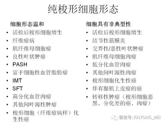 乳腺梭形细胞病变的病理诊断及进展（一）