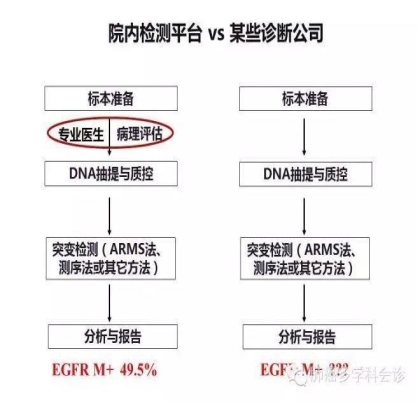 EGFR基因突变检测--基础篇