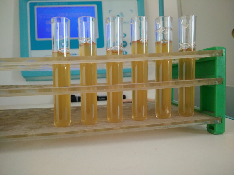 细胞蜡块的制作及应用举隅